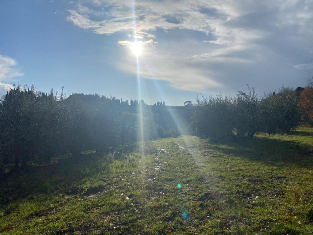 Campora House Hotel Tavarnelle Val di Pesa Екстериор снимка