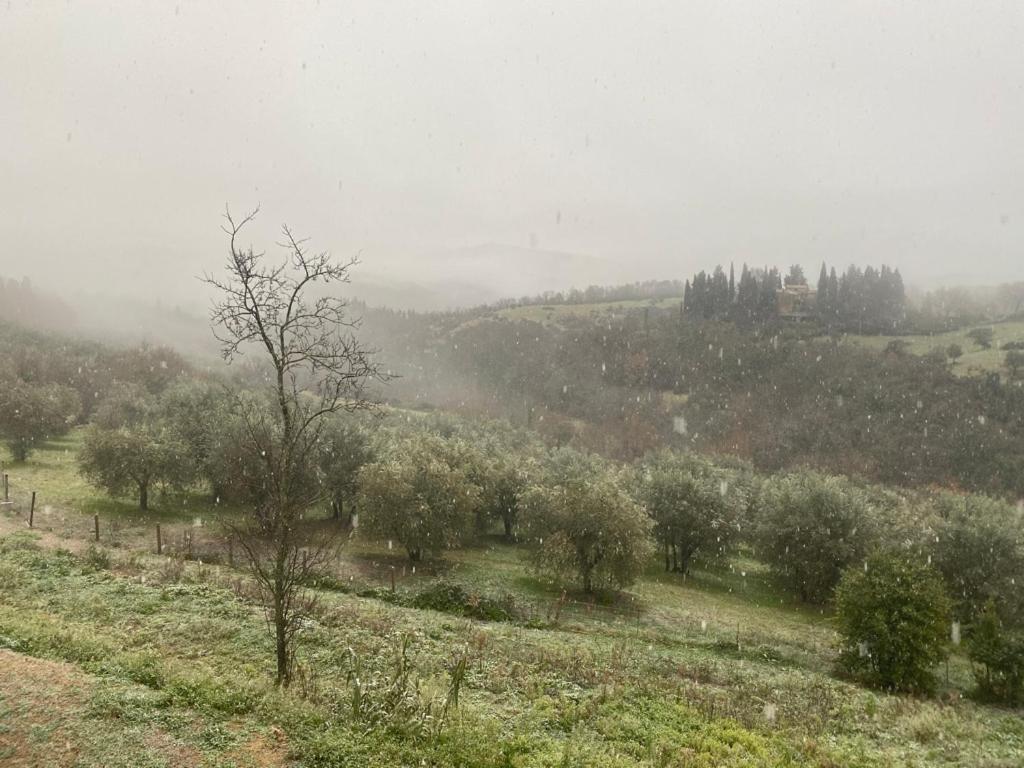 Campora House Hotel Tavarnelle Val di Pesa Екстериор снимка