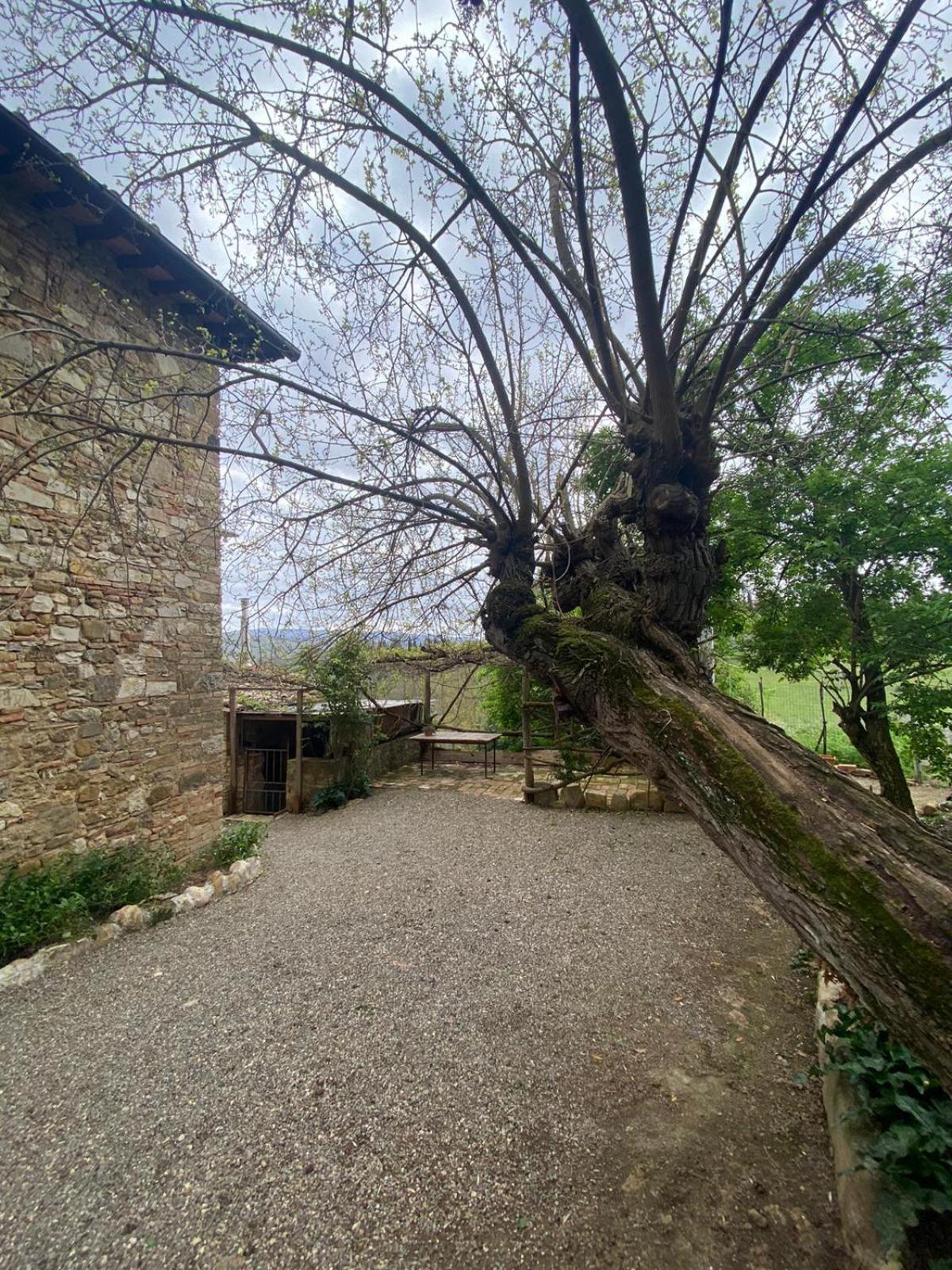Campora House Hotel Tavarnelle Val di Pesa Екстериор снимка